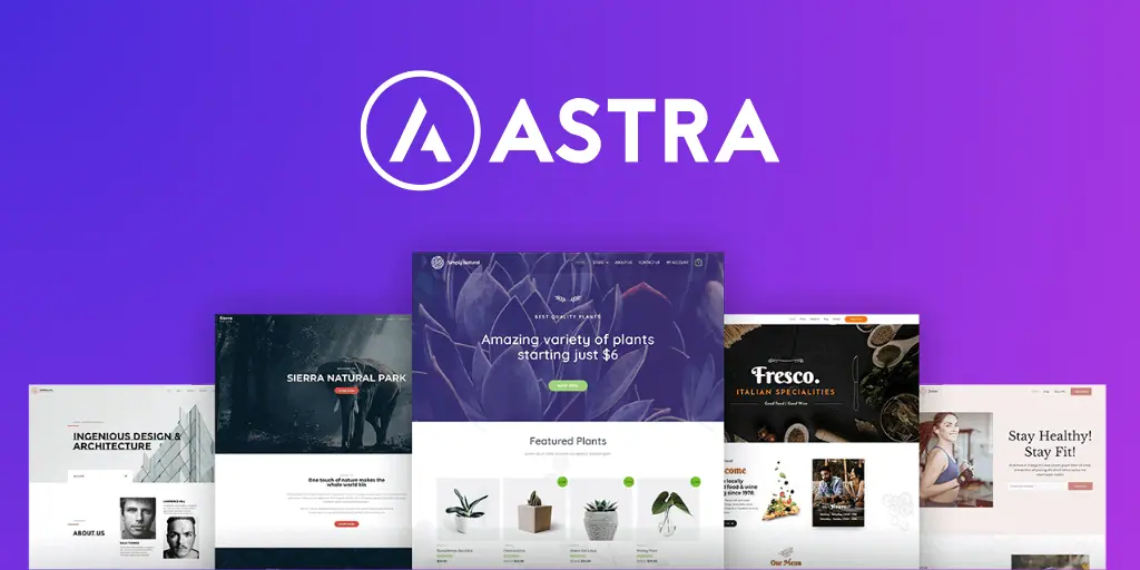 Astra-theme-review.webp