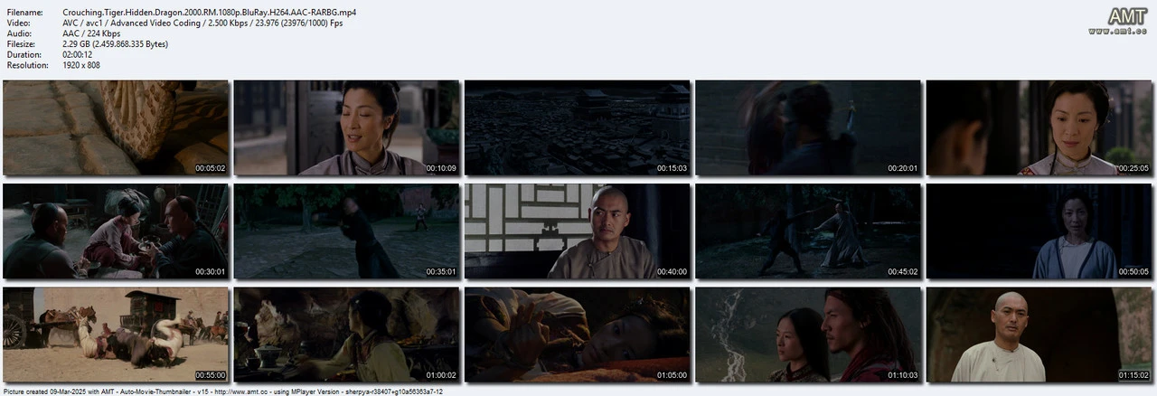 Crouching Tiger Hidden Dragon 2000 RM 1080p BluRay x264 AAC5 1-2.webp