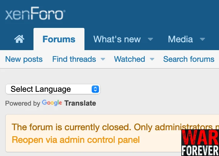 cXF Google Translate Forum-2.webp