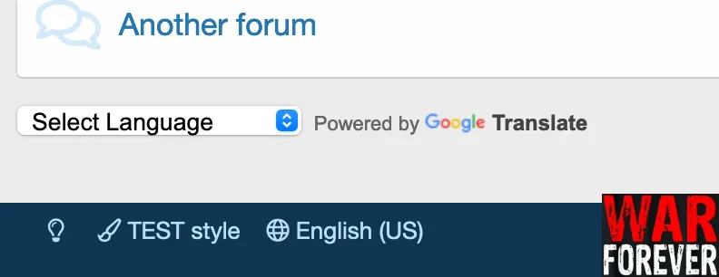 cXF Google Translate Forum-6.webp