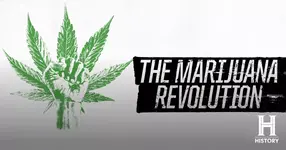 The Marijuana Revolution 2016