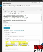 Wordpress Auto Spinner - Articles Rewriter